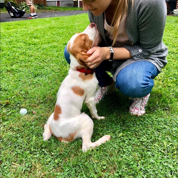 Meet your Posher, Merr. - Picture 3 of 4